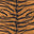 Bengal Tiger