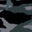 Black Gray Camouflage