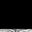 Black with White Tiger