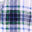 Blue on White Plaid