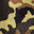 Green Camouflage