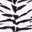 White Tiger Print